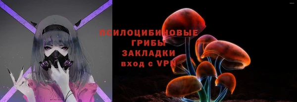 стаф Аркадак
