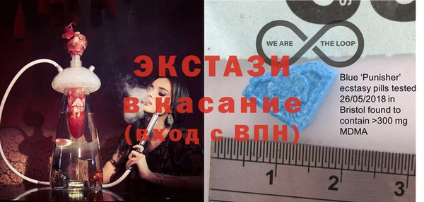 стаф Аркадак