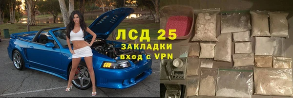 стаф Аркадак