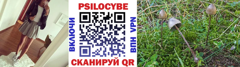 площадка формула  Мыски  Псилоцибиновые грибы Psilocybe 