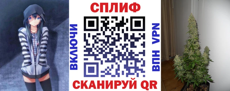 kraken ТОР  Мыски  Каннабис индика 